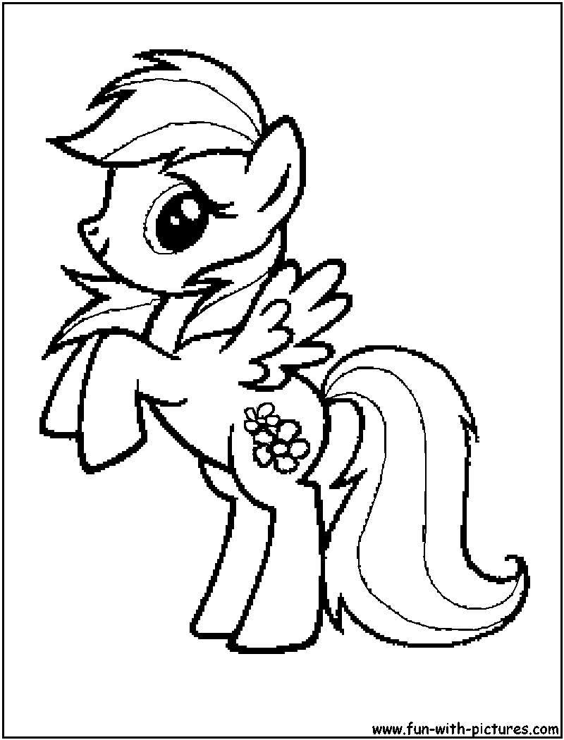 Un petit poney joyeux dans un champ fleuri