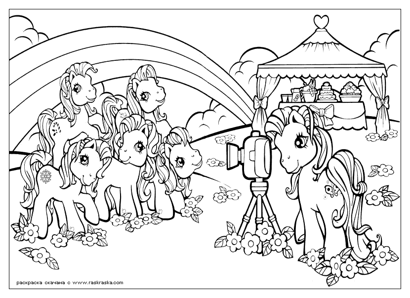 Petit poney dans un paysage pastoral