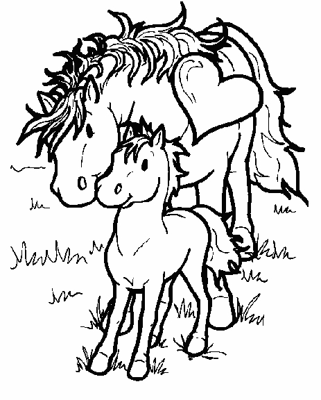 Petit poney dans un paysage champêtre à colorier