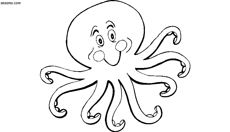 Coloriage d'une pieuvre dans son habitat marin