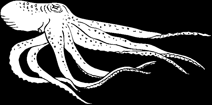 Coloriage d'une pieuvre espiègle dans les profondeurs marines