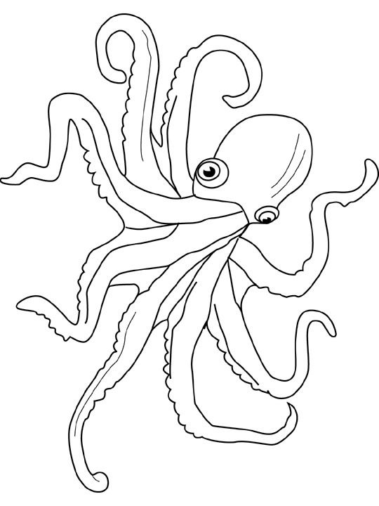 Coloriage d'une pieuvre curieuse au fond de l'océan