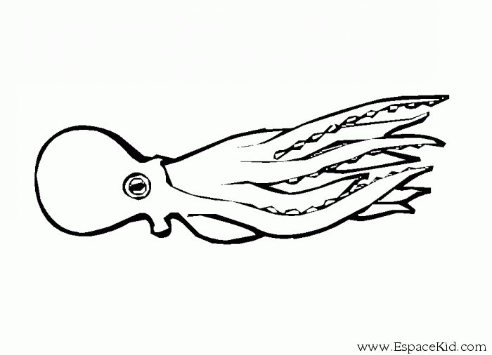 Coloriage d'une pieuvre jouant dans son habitat marin