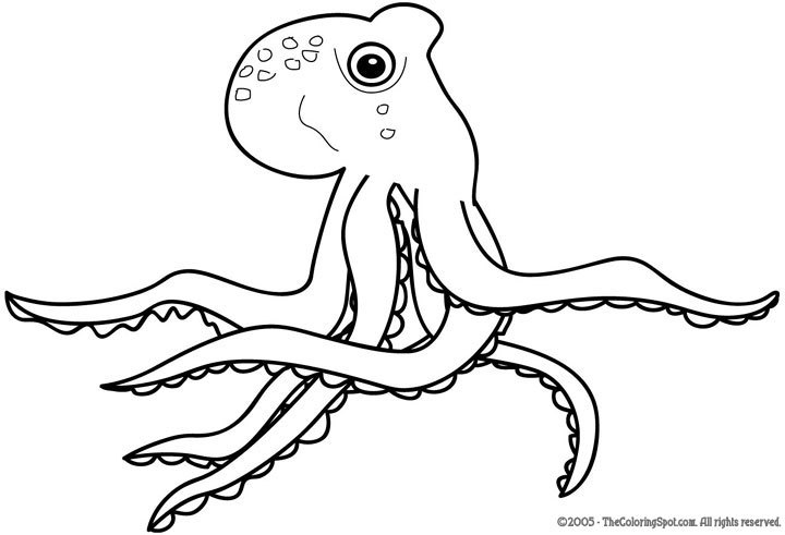 Coloriage Pieuvre #8873 à imprimer Coloriage Pieuvre #8873 à imprimer