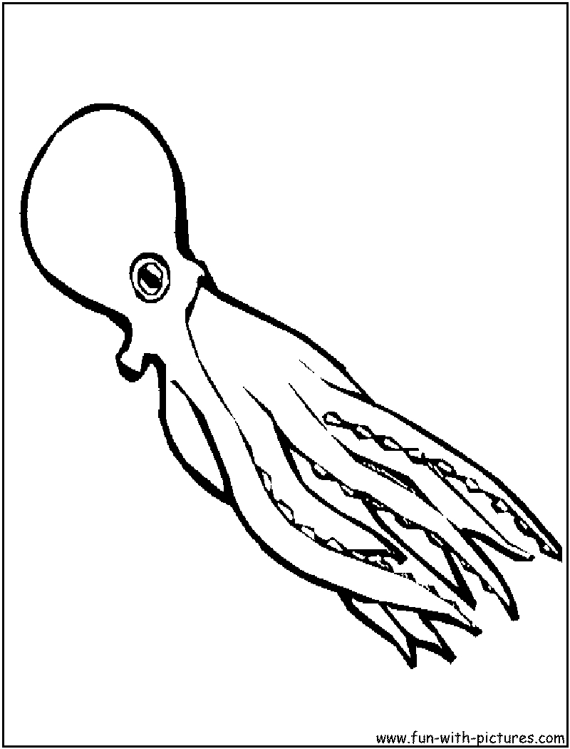 Coloriage d'une pieuvre amusante dans son habitat marin