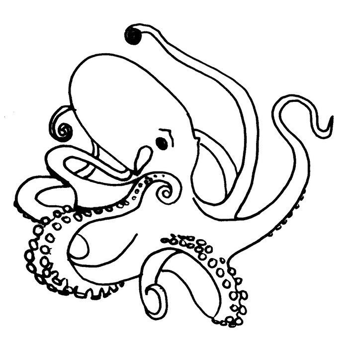 Coloriage d'une pieuvre entourée d'éléments marins