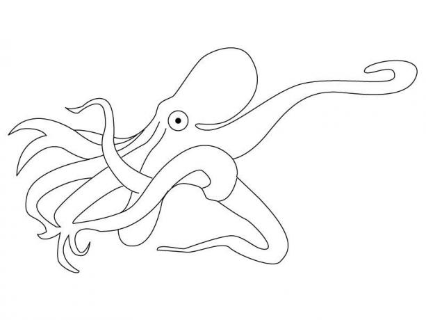 Coloriage d'une pieuvre explorant le fond marin