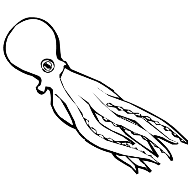 Coloriage d'une pieuvre amusante évoluant dans son habitat marin