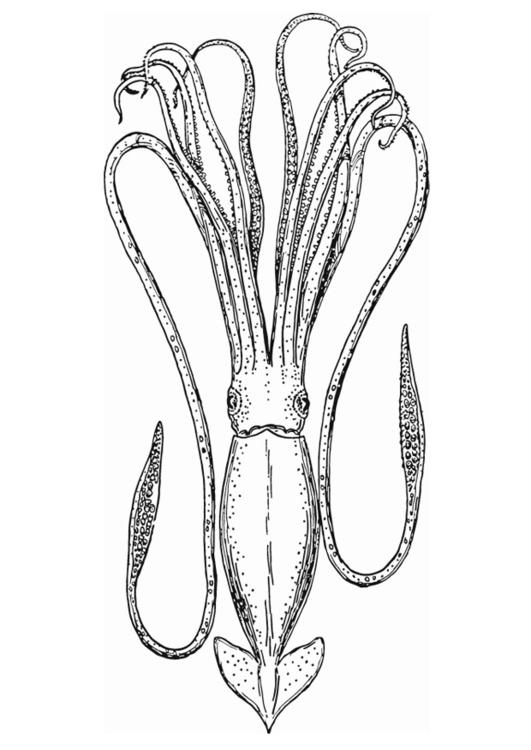 Coloriage d'une pieuvre entourée de vagues et de poissons