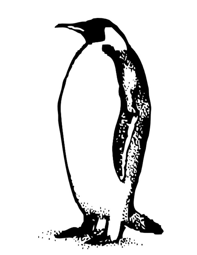 Un pingouin joyeux sur un iceberg sous un ciel serein