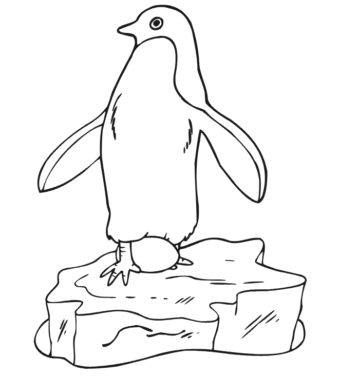 Un pingouin joyeux sur un iceberg avec un fond de mer Un pingouin joyeux sur un iceberg avec un fond de mer