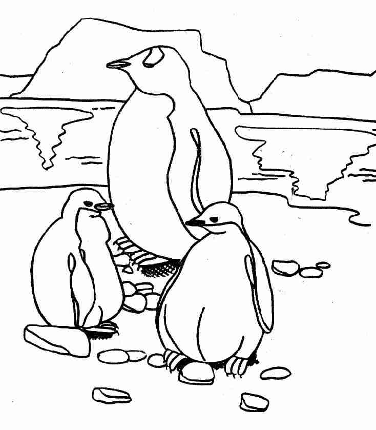 Un pingouin espiègle se prélassant sur la glace