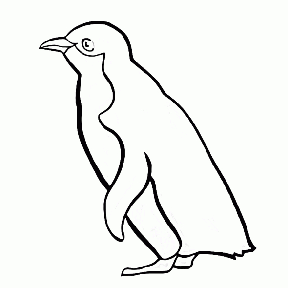 Un pingouin jouant sur un iceberg sous un ciel étoilé