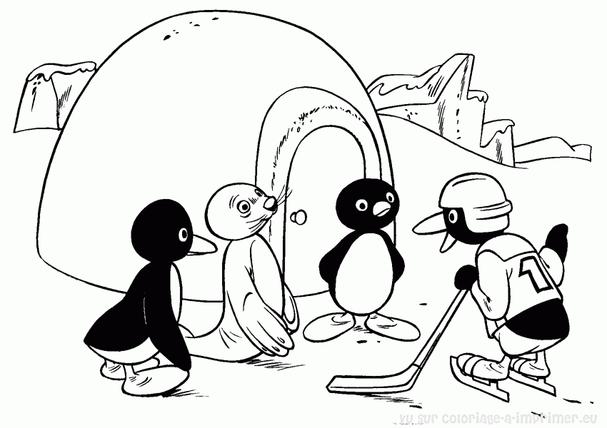 Pingouin sur un iceberg entouré d'eau Pingouin sur un iceberg entouré d'eau