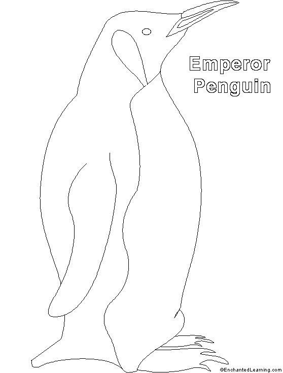 Coloriage d'un pingouin adorable sur un ice berg