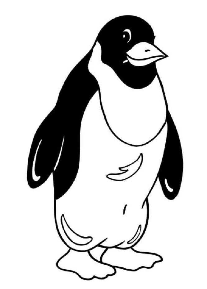 Un pingouin amusant sur un iceberg avec un paysage polaire Un pingouin amusant sur un iceberg avec un paysage polaire