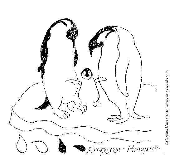 Un pingouin jouant sur la glace sous un ciel serein