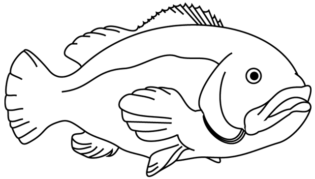 Un poisson coloré évoluant dans son milieu aquatique
