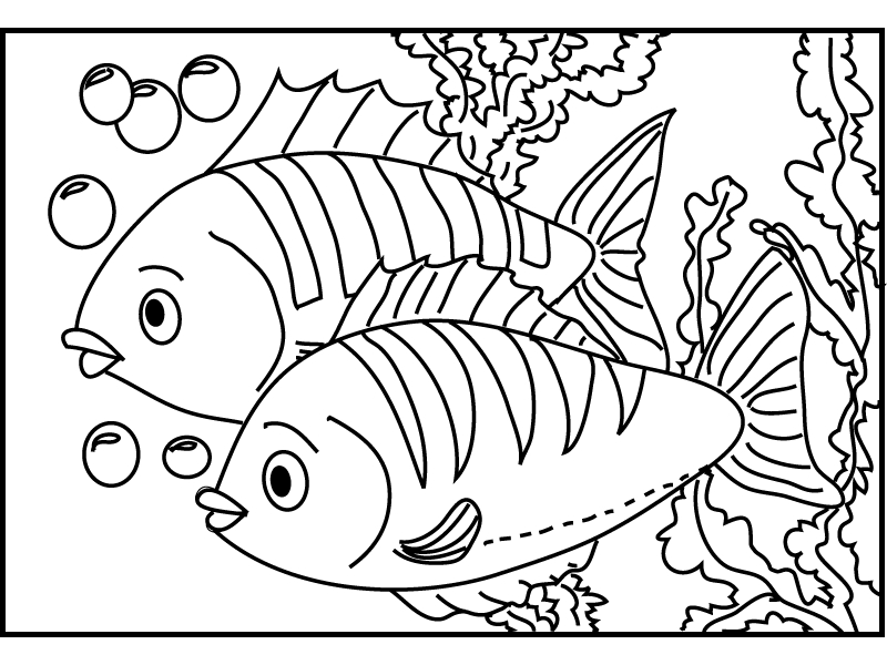 Poisson coloré évoluant dans son milieu aquatique