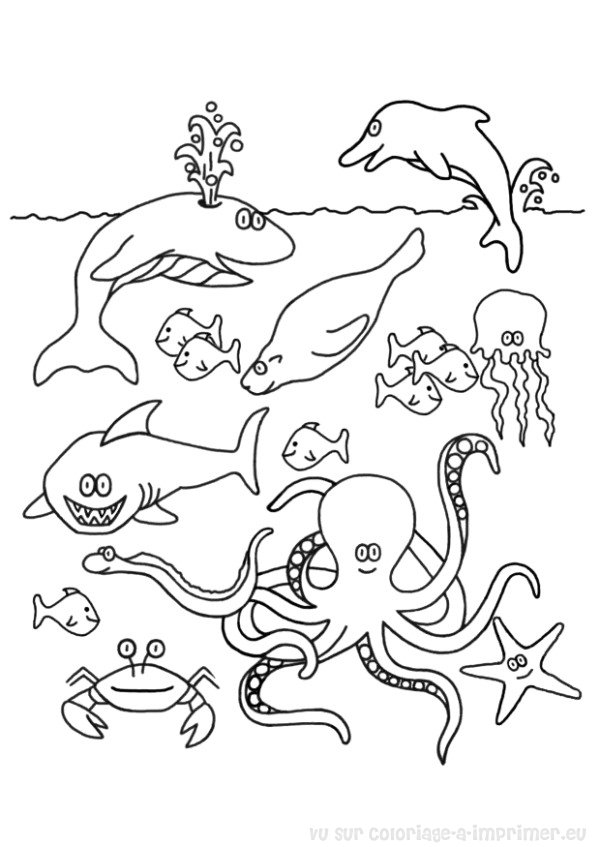 Coloriage de poisson nageant parmi des éléments marins