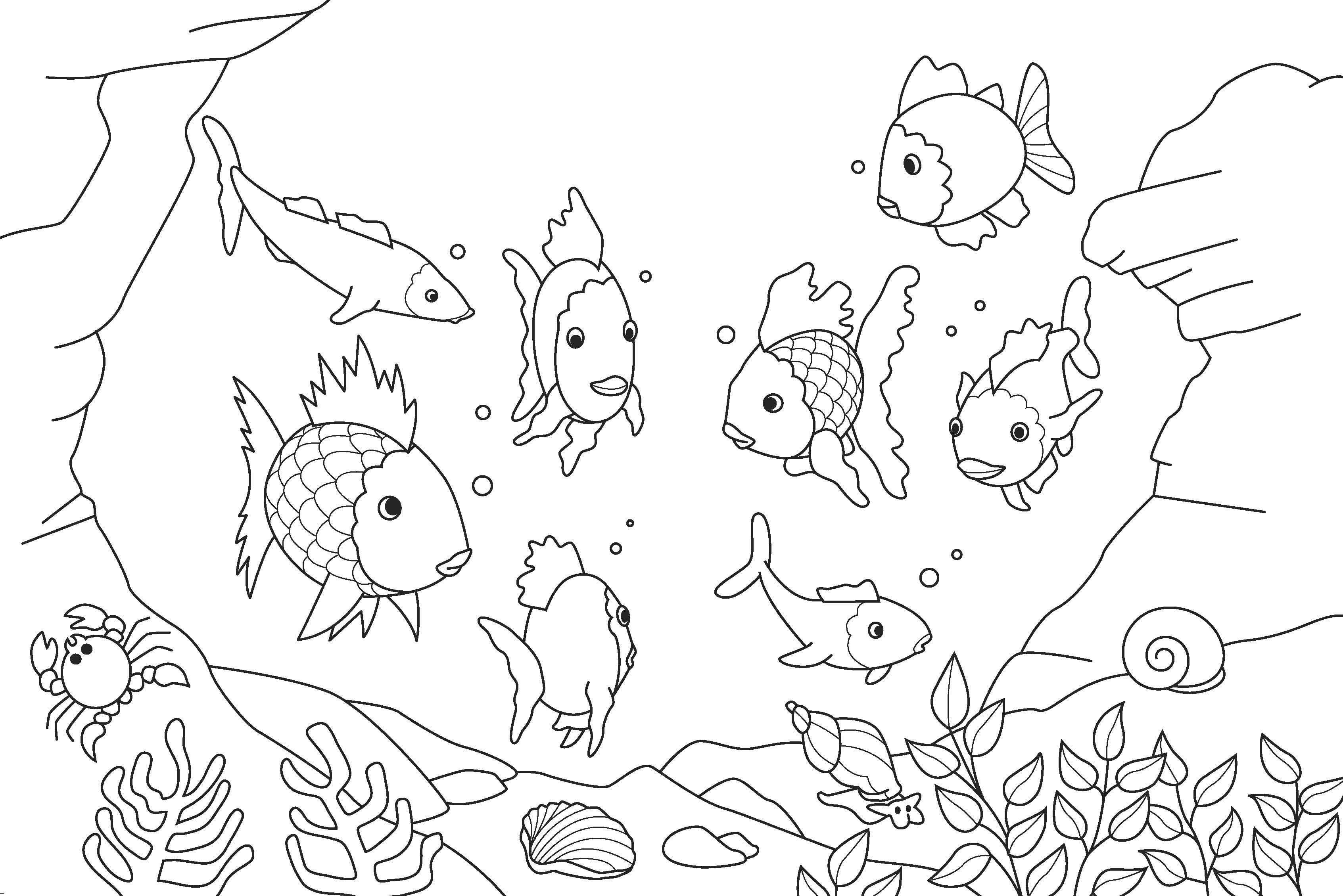 Poisson coloré nageant paisiblement dans un décor aquatique