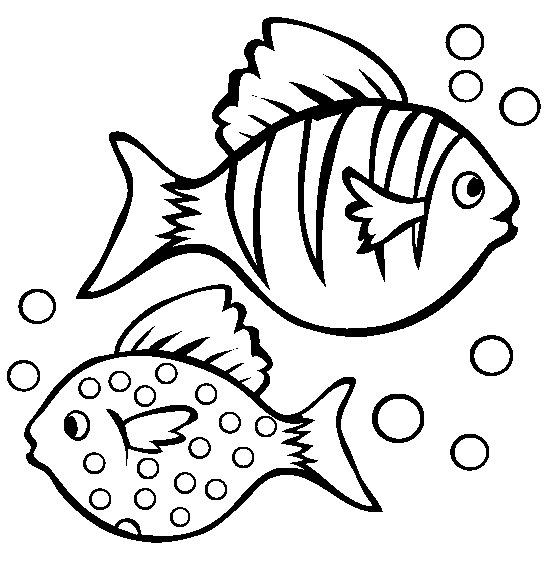 Poisson coloré évoluant dans son habitat aquatique
