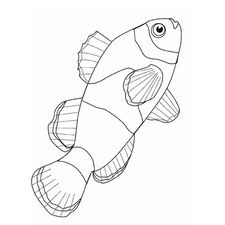 Poisson nageant parmi des algues et des bulles