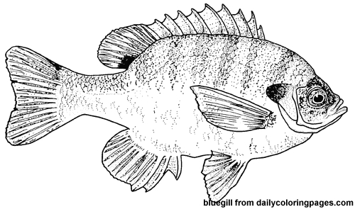 Poisson coloré nageant dans un décor aquatique