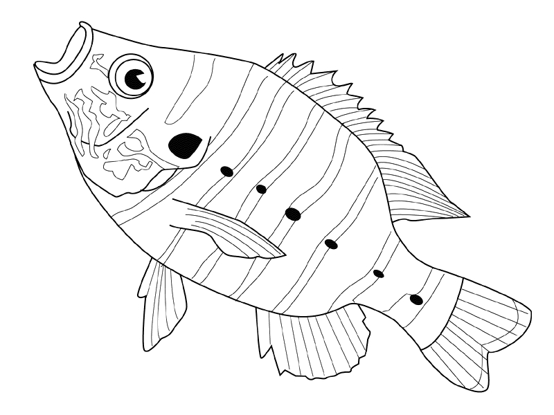 Poisson coloré évoluant dans un décor aquatique