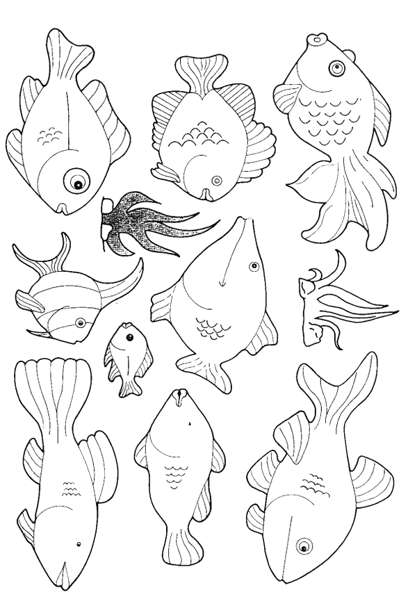 Poisson en pleine nage dans un décor aquatique
