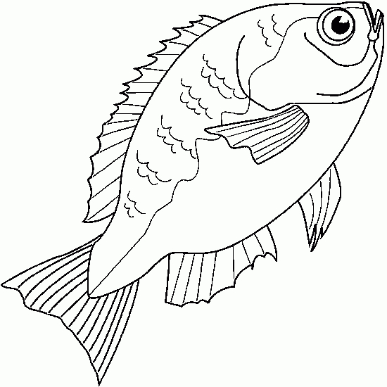Poisson nageant parmi des algues sous-marines