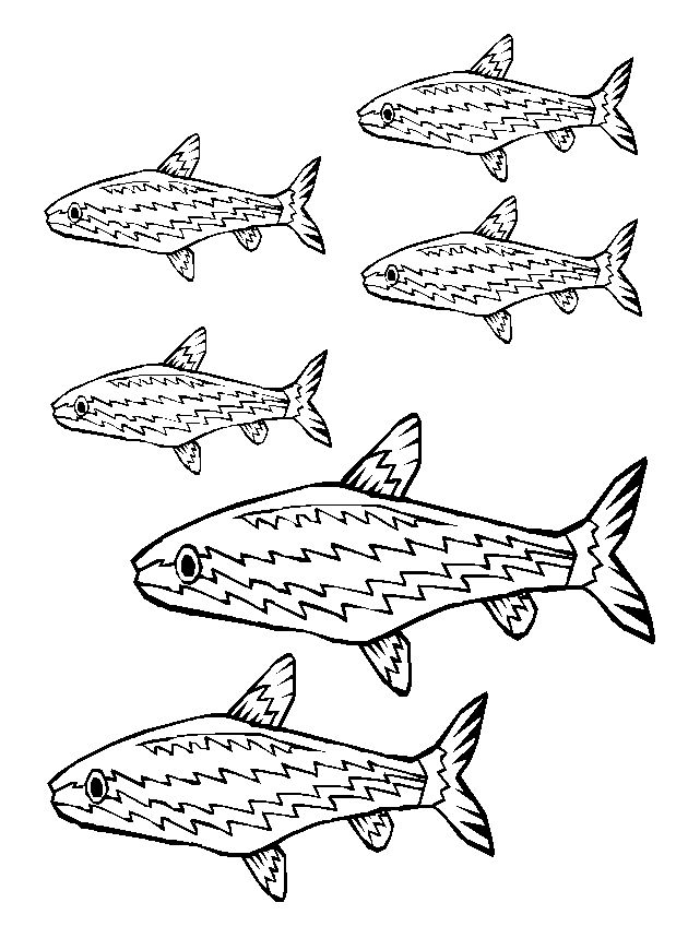 Un poisson coloré évoluant dans les profondeurs marines