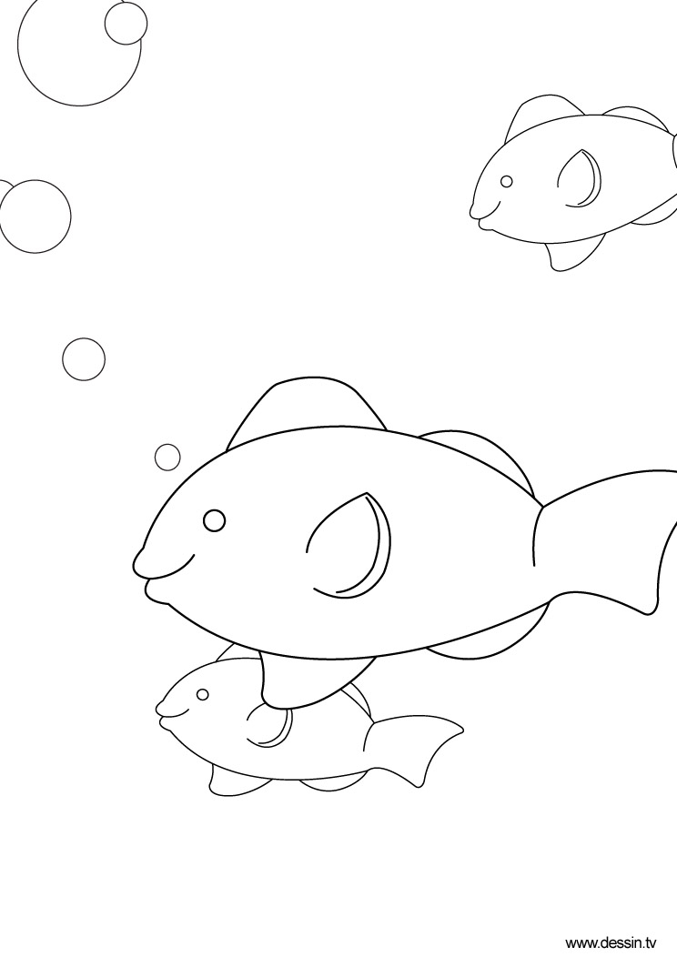 Poisson coloré évoluant dans un décor aquatique