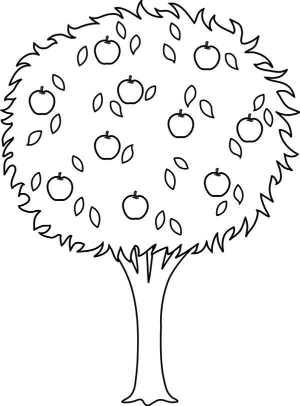 Coloriage d'un pommier en pleine floraison sous le ciel