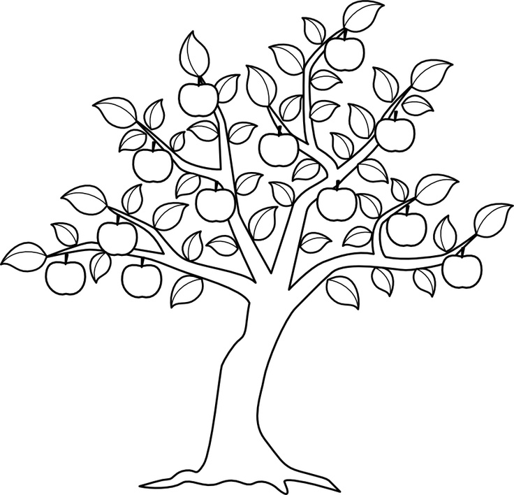 Coloriage d'un pommier en pleine floraison dans un jardin