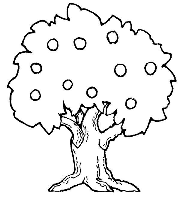 Coloriage d'un pommier avec des pommes et un paysage de campagne