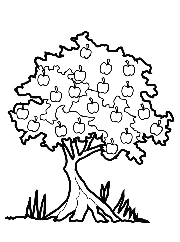 Coloriage d'un pommier avec des fruits et un paysage naturel
