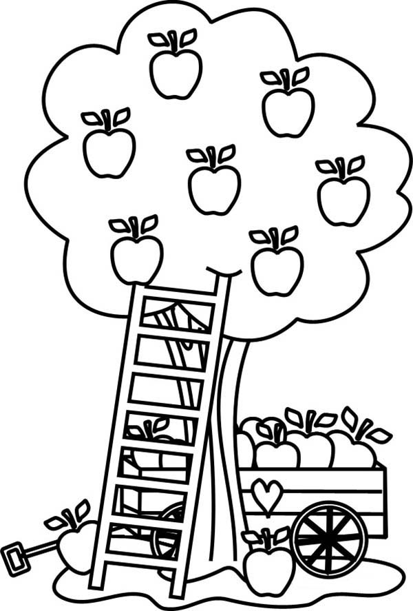 Coloriage d'un pommier chargé de fruits dans un jardin