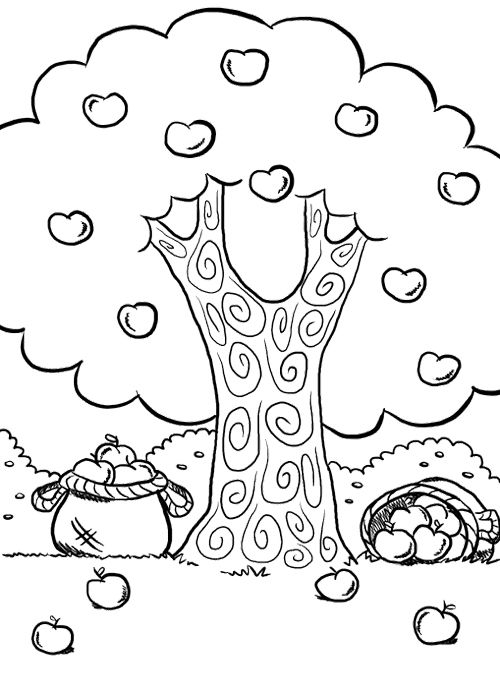 Un pommier chargé de fruits dans un jardin ensoleillé