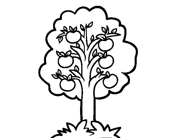 Coloriage d'un pommier en pleine floraison dans un jardin