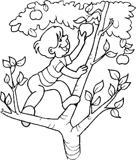 Coloriage d'un pommier en plein été sous un ciel dégagé