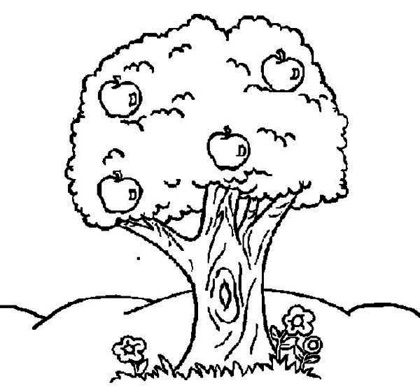 Coloriage d'un pommier chargé de fruits dans un jardin