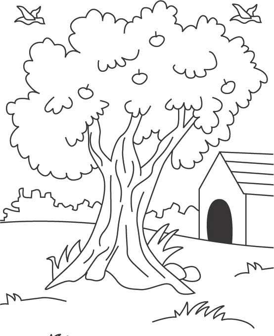 Coloriage d'un pommier au printemps avec des pommes et un paysage bucolique