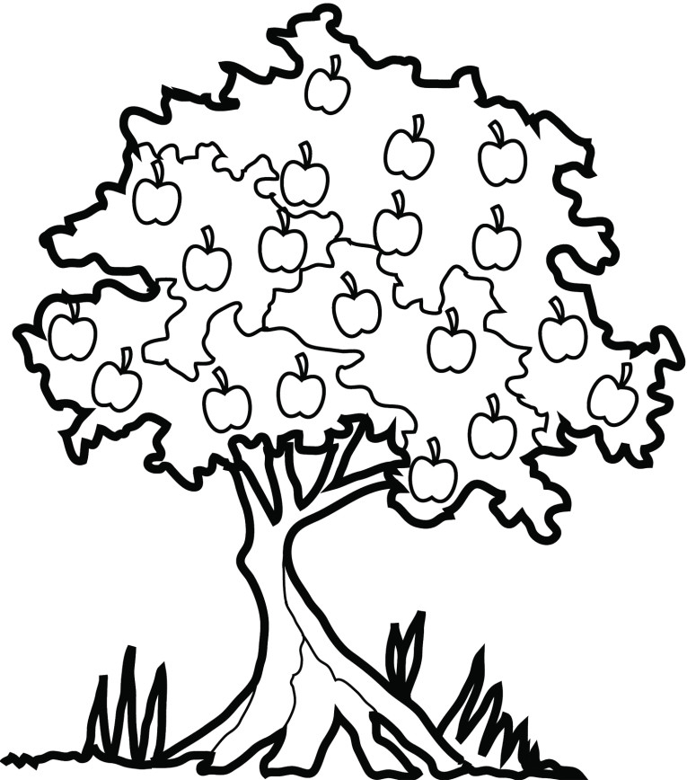 Coloriage d'un pommier avec des pommes et un paysage naturel