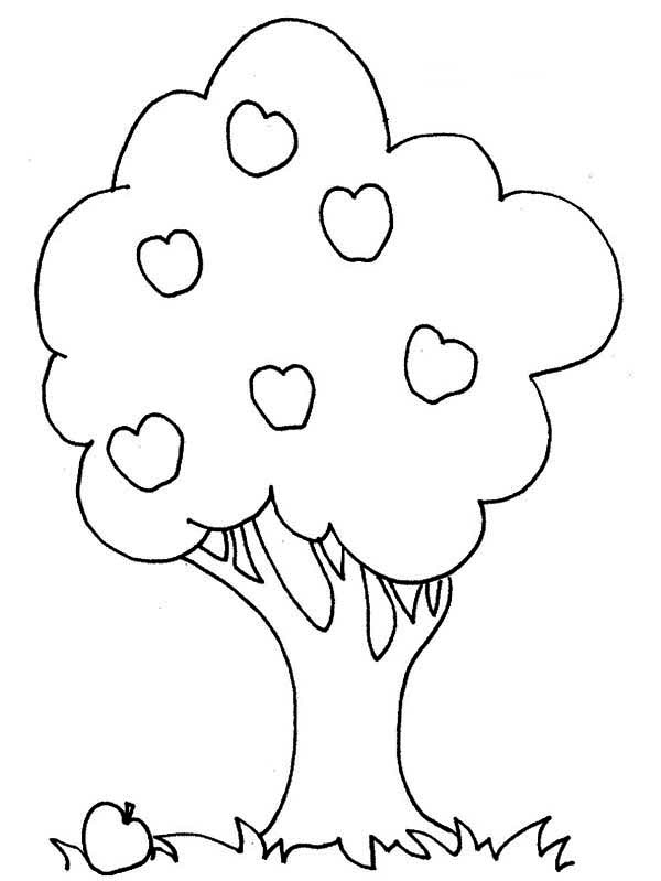 Coloriage d'un pommier avec des fruits et des feuilles