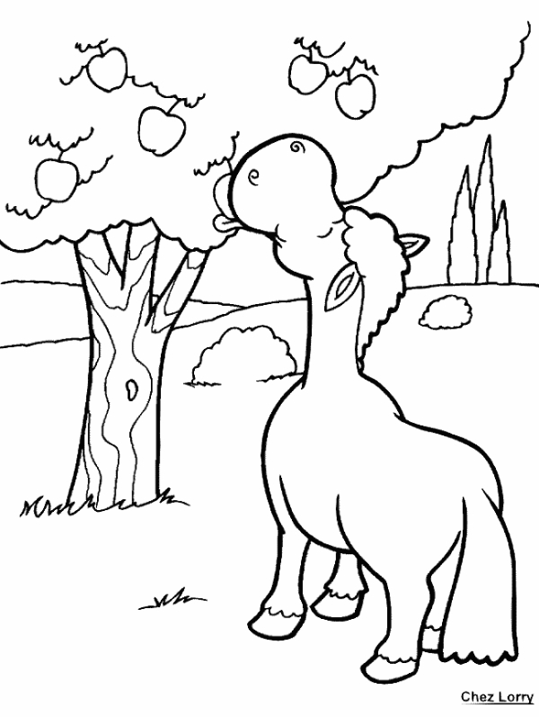 Coloriage d'un pommier en pleine floraison sous un ciel nuageux