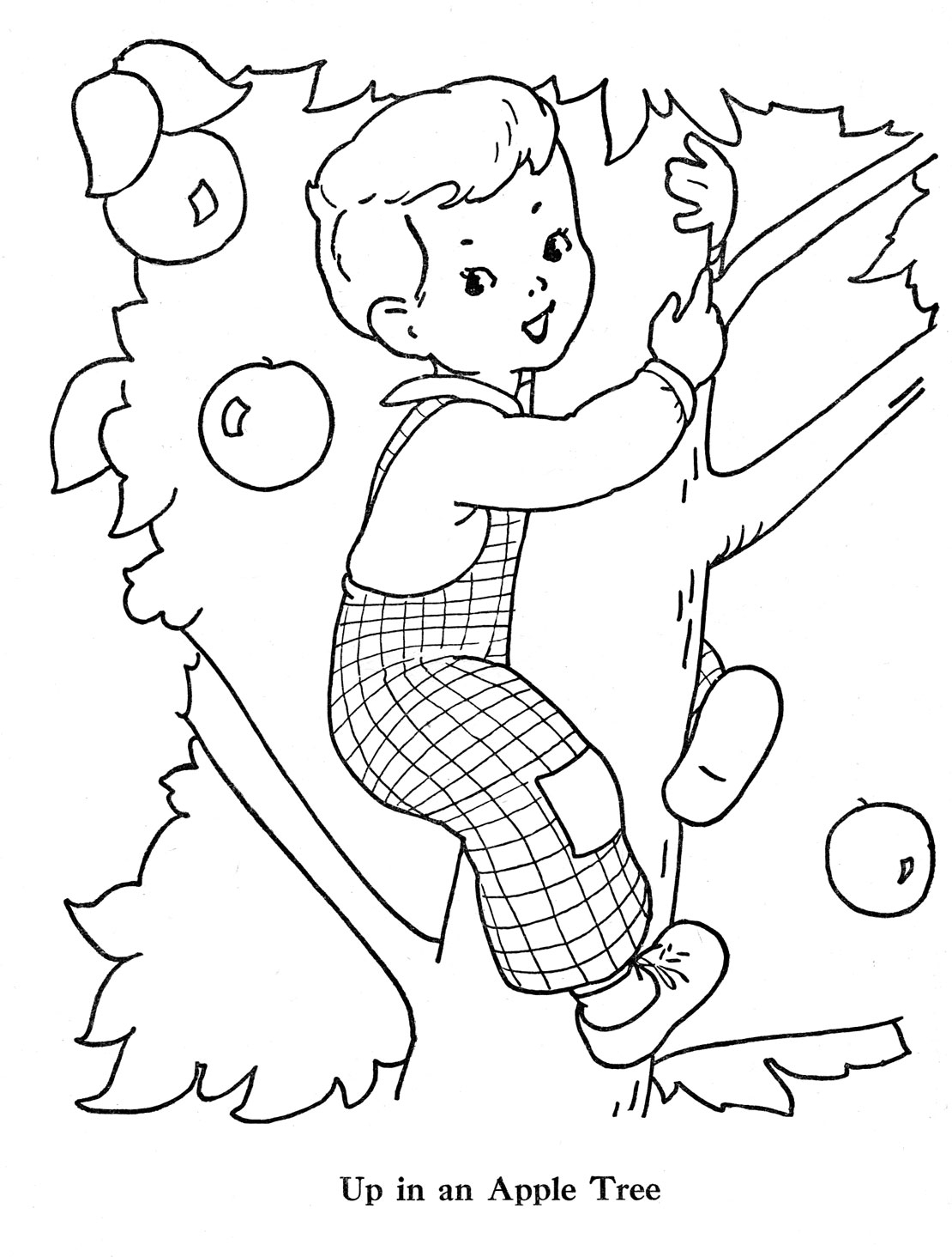 Coloriage d'un pommier avec des fruits et des fleurs