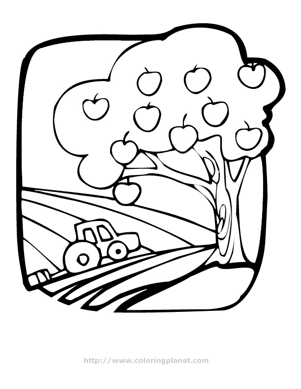 Coloriage d'un pommier en fleurs dans un jardin ensoleillé