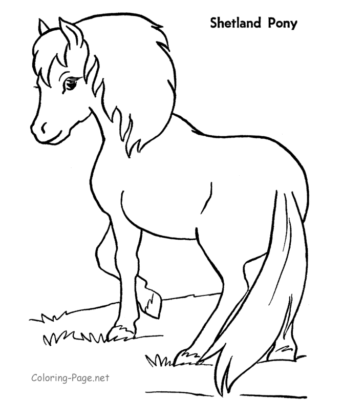 Un poney trottant joyeusement dans un champ fleuri