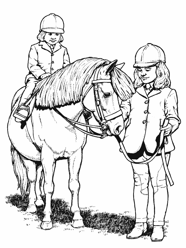 Un poney en pleine course dans un pré verdoyant
